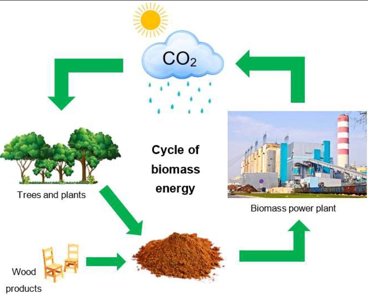 Biomass Energy Technical